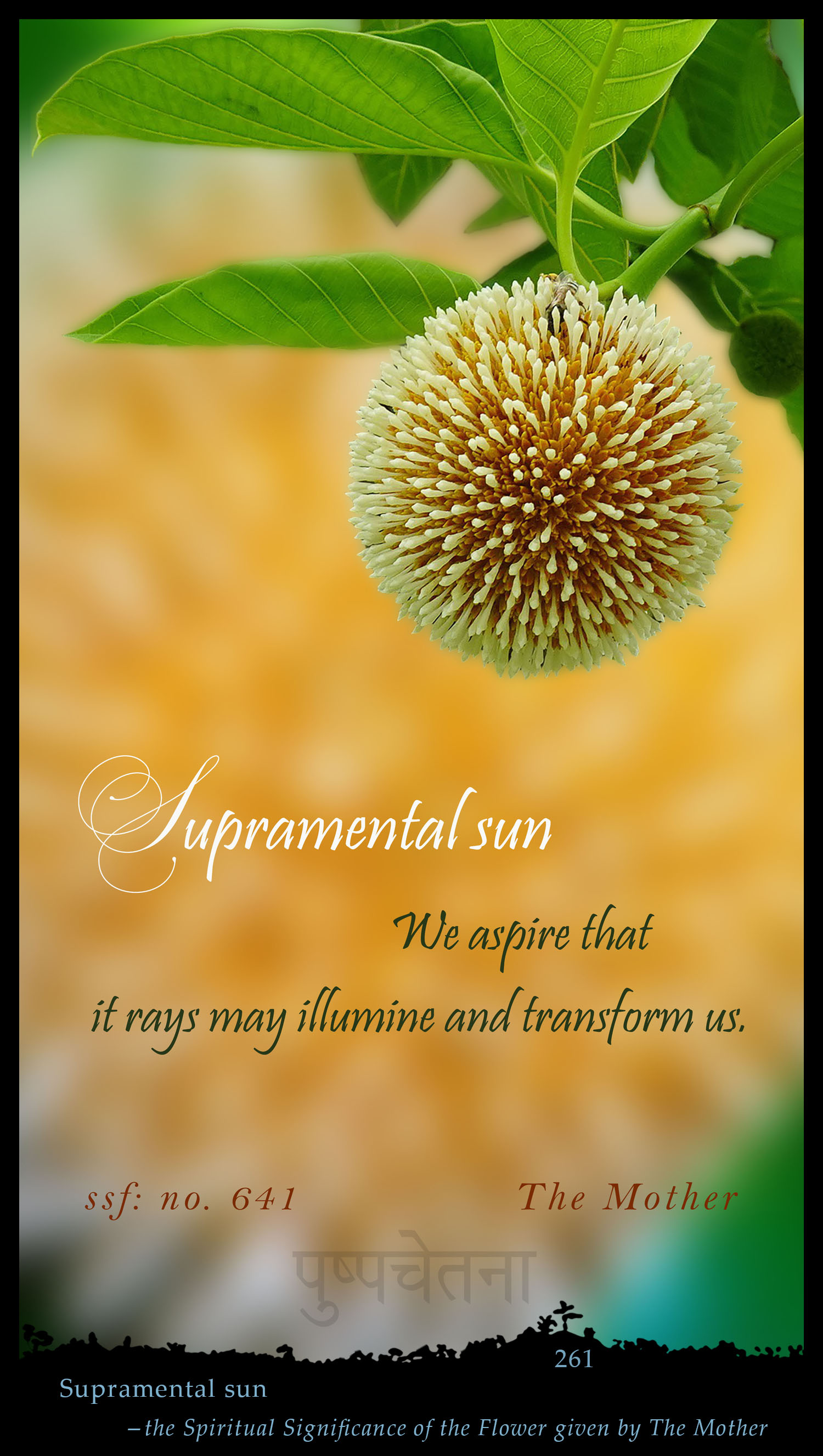 Supramental Sun